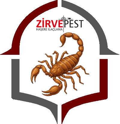 Akrep İlaçlama
