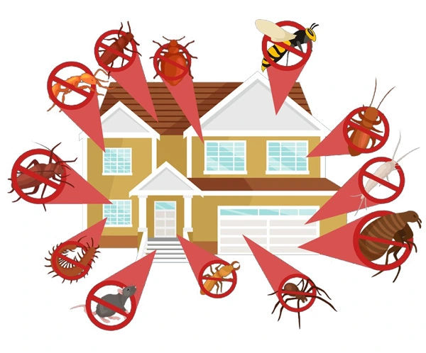 antalya böcek ilaçlama