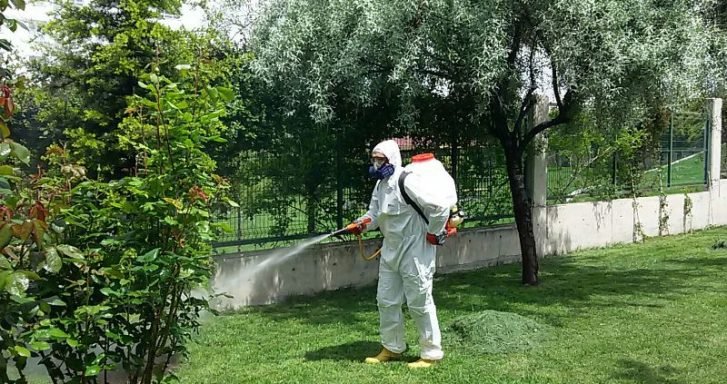 Bahçe İlaçlama