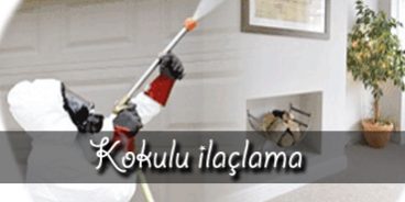 Kokulu Böcek İlaçlama