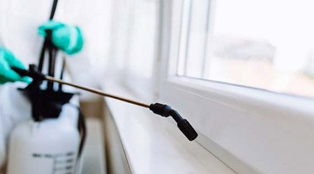 Antalya İlaçlama Firması