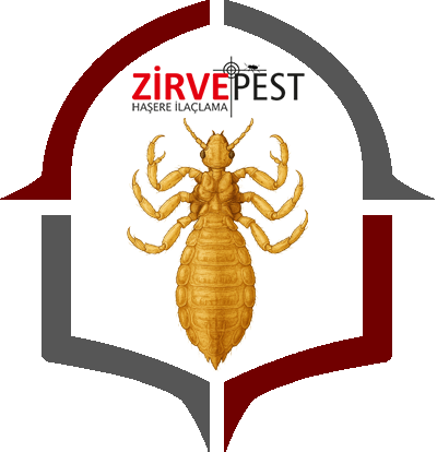 Kuşş Biti İlaçlama