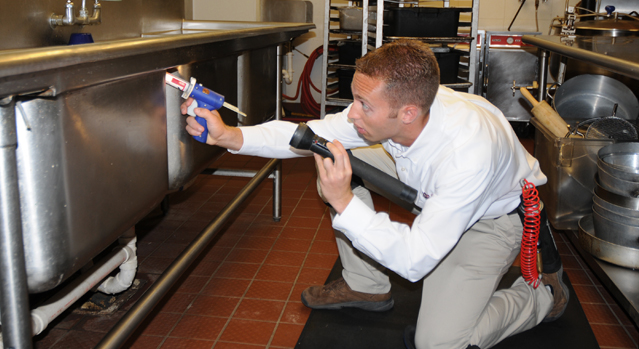 Restaurant İlaçlama