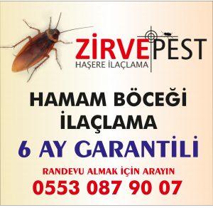 Antalya hamam böceği ilaçlama