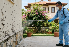 Kanatlı Karınca İlaçlama