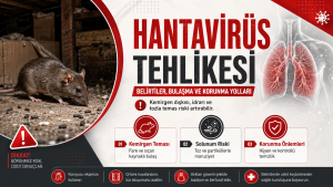 Hantavirüs