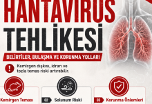 Hantavirüs