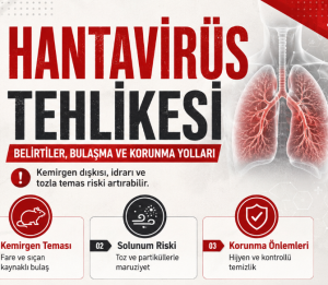 Hantavirüs