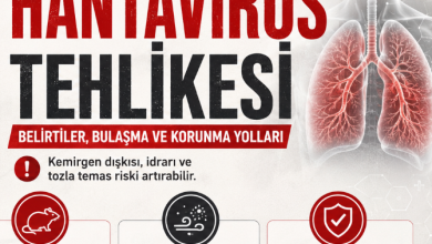Hantavirüs